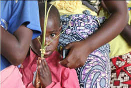 Child with Palm