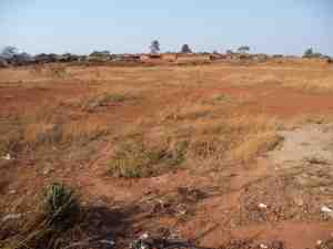 Niassa landscape