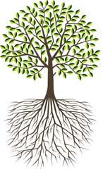 Rooted In Jesus tree