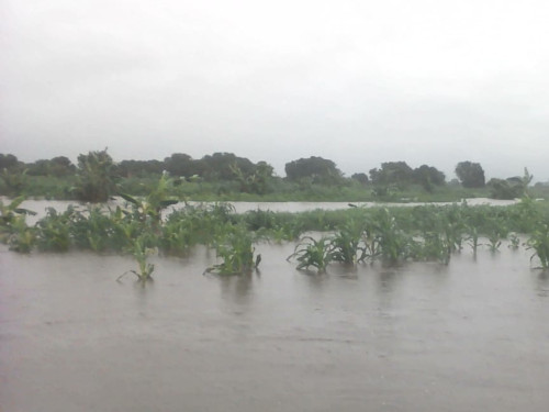 Floods