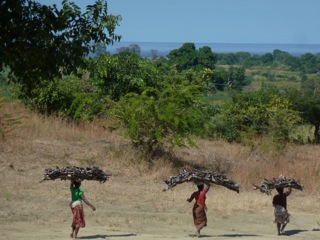 Carrying wood