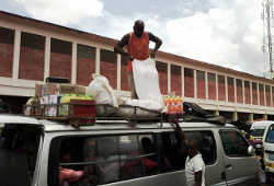 Loading seeds in Quelimane