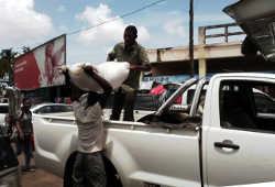 Loading seeds in Quelimane